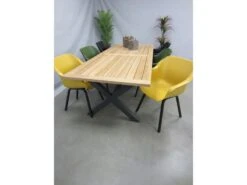 Hartman Tuinset Sophie Element Kleur Met Kruispoot Teaktafel 240 -Optimaal Tuinmeubelen Winkel 31 4 hartman tuinset sophie element kleur met kruispoot teaktafel 240 21680831 lucan240