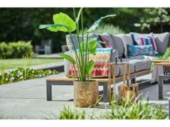 Suns Memphis Platform Teak Lounge Set XL Links -Optimaal Tuinmeubelen Winkel 36 4 suns memphis platform teak lounge set xl links sfeer 40368498599362