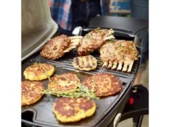 Weber® Q 1200 Gasbarbecue Met Stand -Optimaal Tuinmeubelen Winkel 40 3 weber ® q 1200 gasbarbecue met stand 51012475