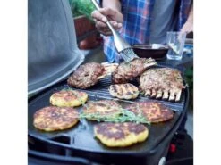 Weber® Q 1200 Gasbarbecue Met Stand -Optimaal Tuinmeubelen Winkel 40 5 weber ® q 1200 gasbarbecue met stand 51012475