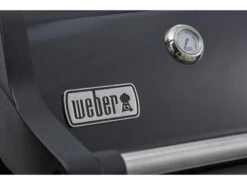Weber Spirit E-225 Gbs Gasbarbecue Buitenkeuken 11 Weber Spirit E-225 Gbs Gasbarbecue Buitenkeuken -Optimaal Tuinmeubelen Winkel 43 3 weber spirit e 225 gbs gasbarbecue buitenkeuken 46312264