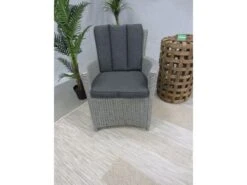 Te Velde Tuinmeubelen Alonzo Vlechtwerk Tuin Stoel