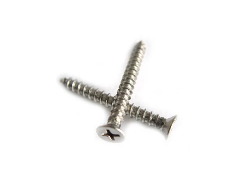 Nesling Schroeven 20 Stuks RVS 3 Nesling Schroeven 20 Stuks RVS